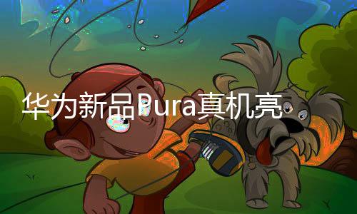 華為新品Pura真機(jī)亮相，引領(lǐng)科技潮流新風(fēng)向