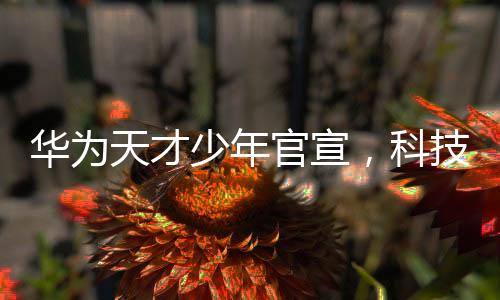 華為天才少年官宣，科技新星閃耀未來