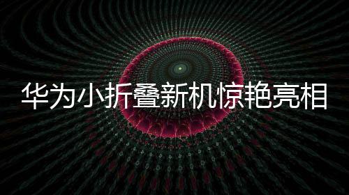 華為小折疊新機(jī)驚艷亮相，暫定三月推出，一睹科技與時(shí)尚的融合之美