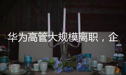 華為高管大規(guī)模離職，企業(yè)內(nèi)部調(diào)整引發(fā)關(guān)注