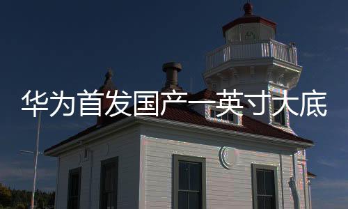 華為首發(fā)國(guó)產(chǎn)一英寸大底，引領(lǐng)智能手機(jī)攝影新篇章