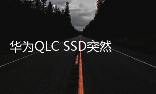 華為QLC SSD突然進(jìn)軍韓國：1TB 235元便宜到爆！