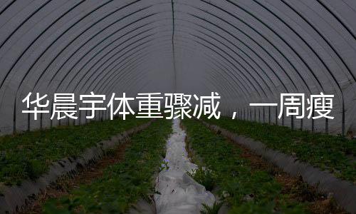 華晨宇體重驟減，一周瘦9斤引熱議，數(shù)字背后的故事與挑戰(zhàn)