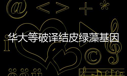 華大等破譯結皮綠藻基因密碼 為沙漠改造提供科學支撐