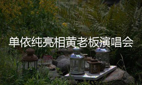 單依純亮相黃老板演唱會(huì)，璀璨之夜，音樂(lè)力量展現(xiàn)無(wú)疑