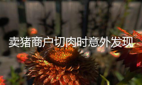 賣豬商戶切肉時(shí)意外發(fā)現(xiàn)豬被打針——行業(yè)內(nèi)的隱秘與公眾的關(guān)注