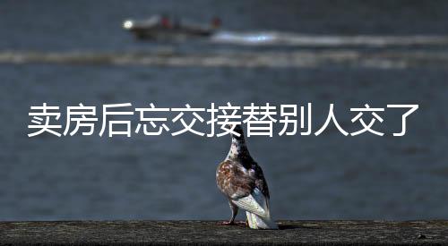 賣房后忘交接替別人交了十三年電費(fèi)，一則關(guān)于疏忽與糾正的真實故事