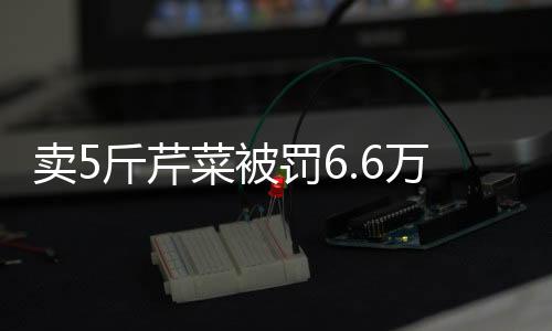 賣5斤芹菜被罰6.6萬？代表委員建言市場監(jiān)管新模式