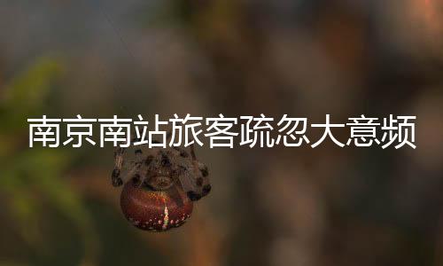 南京南站旅客疏忽大意頻失身份證，四天被工作人員撿得逾千證件