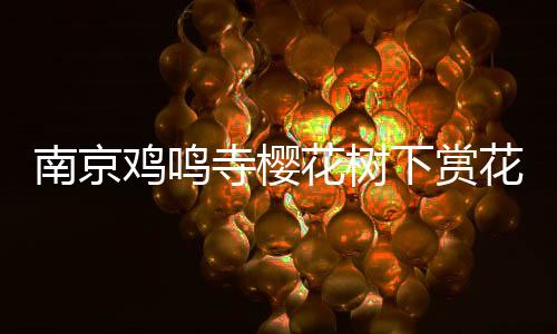 南京雞鳴寺櫻花樹下賞花人多如云，游客紛紛駐足留影