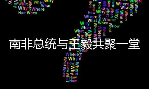 南非總統(tǒng)與王毅共聚一堂，國花照片下的友好見證