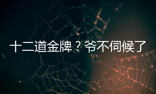 十二道金牌？爺不伺候了！