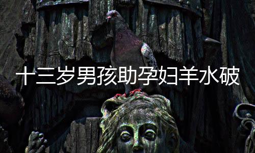 十三歲男孩助孕婦羊水破裂順利產(chǎn)子，生命奇跡溫暖人心