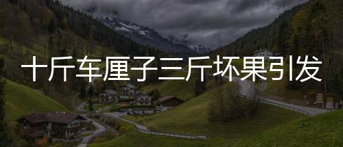 十斤車?yán)遄尤飰墓l(fā)爭(zhēng)議，山姆超市回應(yīng)并采取措施