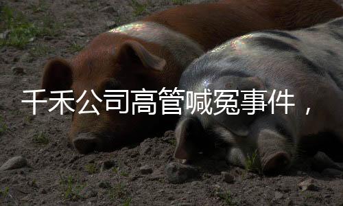 千禾公司高管喊冤事件，一場(chǎng)錯(cuò)綜復(fù)雜的企業(yè)內(nèi)部爭(zhēng)議揭秘