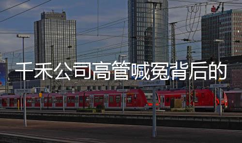 千禾公司高管喊冤背后的真相與探究