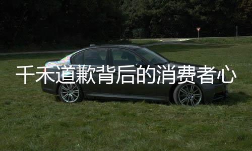 千禾道歉背后的消費者心理，為何消費者不買賬？一篇深度解析的文章。