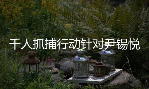 千人抓捕行動(dòng)針對(duì)尹錫悅，現(xiàn)場(chǎng)沖突與受傷情況