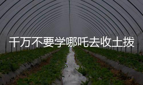 千萬不要學(xué)哪吒去收土撥鼠，一則關(guān)于冒險(xiǎn)與后果的警示