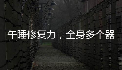 午睡修復(fù)力，全身多個(gè)器官在短暫的睡眠中得到恢復(fù)與再生