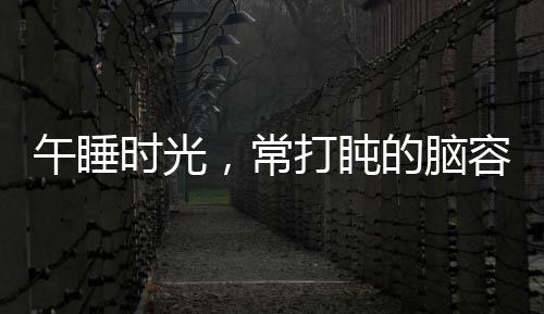 午睡時光，常打盹的腦容量真相大解密