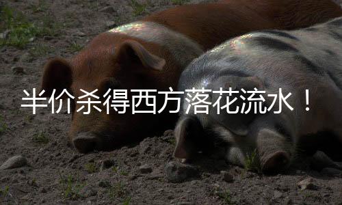 半價(jià)殺得西方落花流水！國(guó)產(chǎn)DDR4內(nèi)存又要漲回來