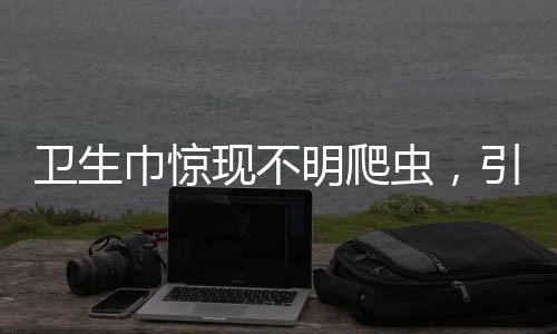衛(wèi)生巾驚現(xiàn)不明爬蟲，引發(fā)公眾關注與擔憂