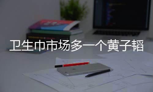 衛(wèi)生巾市場(chǎng)多一個(gè)黃子韜也無(wú)妨，市場(chǎng)多樣性與新競(jìng)爭(zhēng)格局分析