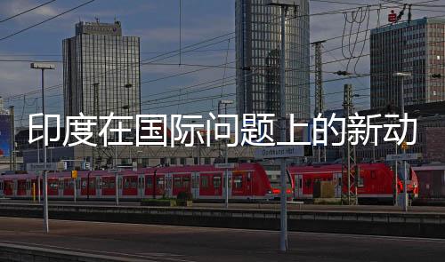 印度在國際問題上的新動(dòng)向，是否真的有所轉(zhuǎn)向？