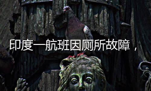 印度一航班因廁所故障，僅留一個可用卻遭遇11個堵塞被迫返航