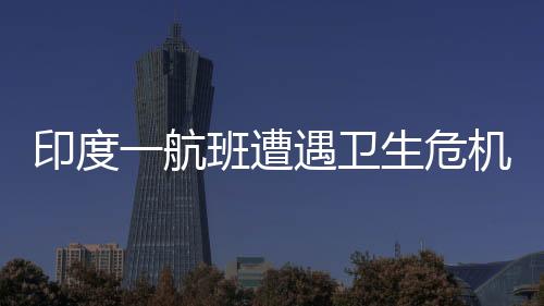 印度一航班遭遇衛(wèi)生危機(jī)，12個(gè)廁所堵塞11個(gè)被迫返航