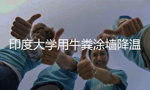 印度大學(xué)用牛糞涂墻降溫 校長力挺：這是科學(xué)！