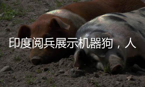印度閱兵展示機器狗，人手一個遙控器引領科技潮流