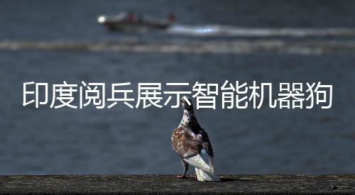 印度閱兵展示智能機器狗，人手一個遙控器，科技力量矚目顯現(xiàn)