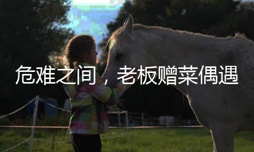 危難之間，老板贈(zèng)菜偶遇救命恩人，善緣綿延人間真情