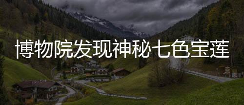 博物院發(fā)現(xiàn)神秘七色寶蓮，揭示千年文化寶藏的奇跡之旅