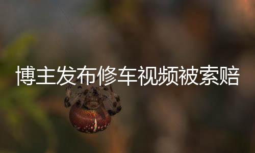 博主發(fā)布修車視頻被索賠700萬