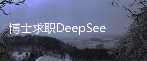 博士求職DeepSeek面試經(jīng)歷，面試官連問3小時的專業(yè)考驗與挑戰(zhàn)