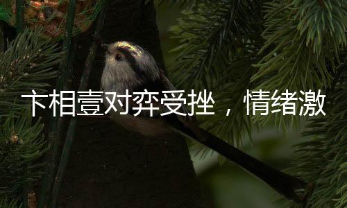 卞相壹對弈受挫，情緒激烈竟自扇耳光——賽場上的挑戰(zhàn)與個人情緒的波動