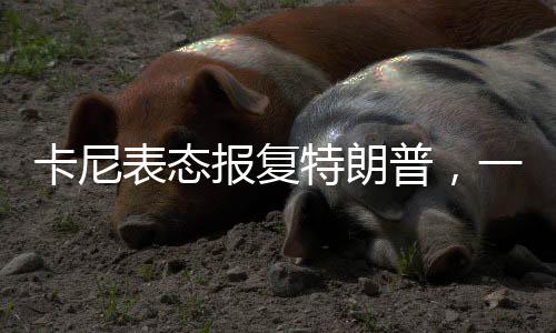 卡尼表態(tài)報(bào)復(fù)特朗普，一場政治風(fēng)暴的掀起
