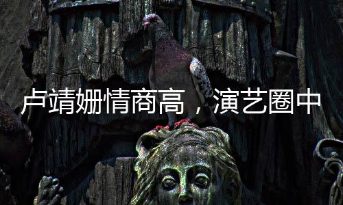 盧靖姍情商高，演藝圈中的佼佼者