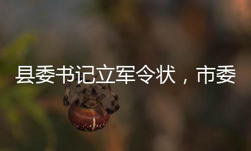 縣委書記立軍令狀，市委書記推動(dòng)全市播放，責(zé)任擔(dān)當(dāng)與地方治理新篇章