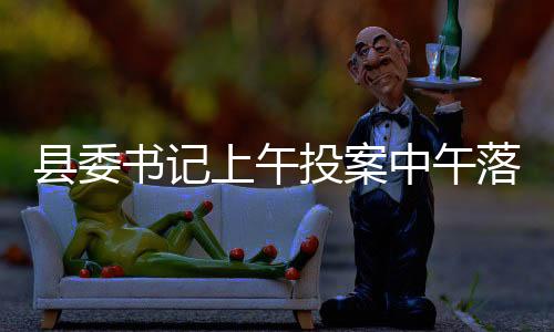 縣委書(shū)記上午投案中午落馬，反腐行動(dòng)展現(xiàn)決心與效率