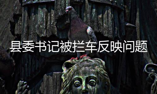 縣委書記被攔車反映問題？當?shù)鼗貞?yīng)