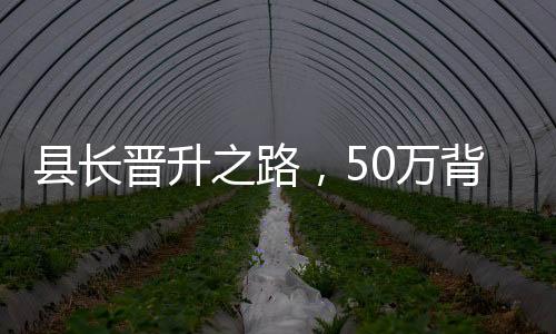 縣長晉升之路，50萬背后的故事，一個月實(shí)現(xiàn)從縣長到縣委書記的跨越