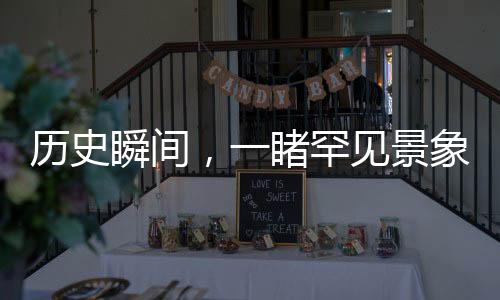 歷史瞬間，一睹罕見(jiàn)景象——成都竹子開(kāi)花，錯(cuò)過(guò)再等六十年