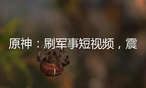 原神：刷軍事短視頻，震驚提瓦特