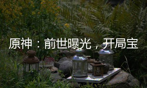 原神：前世曝光，開局寶生永夢(mèng)！