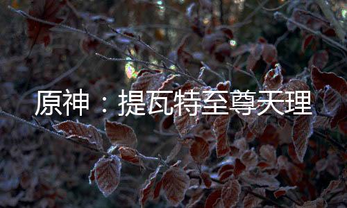 原神：提瓦特至尊天理