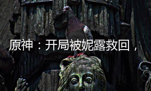 原神：開(kāi)局被妮露救回，天賦投影